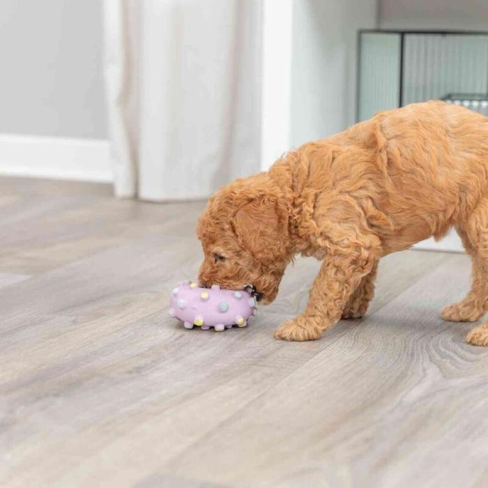 Іграшка для собак Trixie Кільце голчасте d=8 см (латекс) - masterzoo.ua
