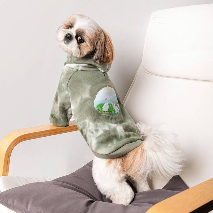 Худі для собак Pet Fashion Gray S - masterzoo.ua