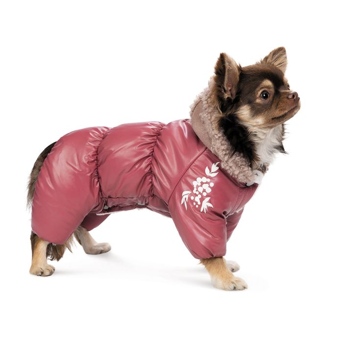 Комбинезон для собак Pet Fashion Cherry XS-2 - masterzoo.ua