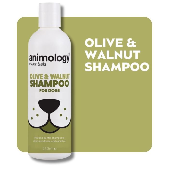 Шампунь дезодоруючий для собак Animology Essentials Olive and Walnut Shampoo 250 мл - masterzoo.ua