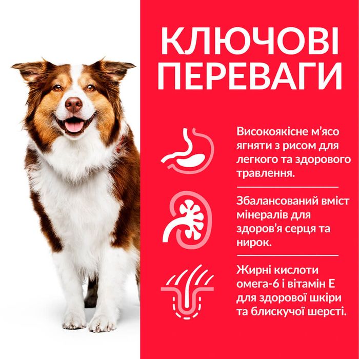 Сухий корм для собак Hill’s Science Plan Mature Adult 7+ Medium Breed 2,5 кг - ягня та рис - masterzoo.ua