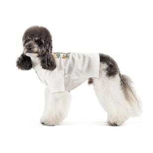 Вишиванка для собак Pet Fashion Ostap S - masterzoo.ua