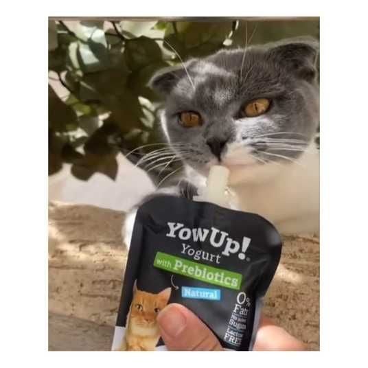 ≡ Йогурт для котів YowUp Yogurt Natural Cat 85 г - пребіотики