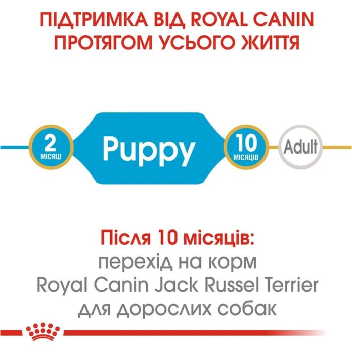 Сухой корм для щенков Royal Canin Jack Russel Puppy 1,5 кг - домашняя птица - masterzoo.ua