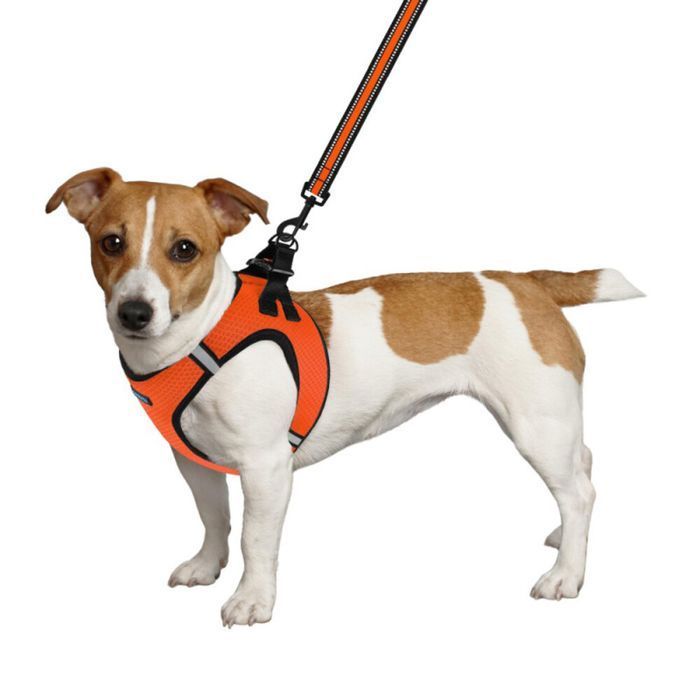 Шлейка для собак Barksi Mesh Vest M - оранжевый - masterzoo.ua