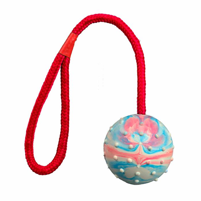Игрушка для собак Trixie Мяч на верёвке с ручкой 30 см, d=7 см (резина, цвета в ассортименте) - masterzoo.ua