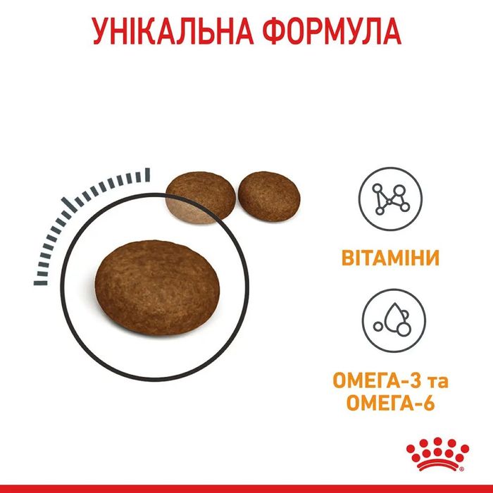Набор корма для кошек Royal Canin hair and skin care 2 кг + 4 pouch - домашняя птица - masterzoo.ua