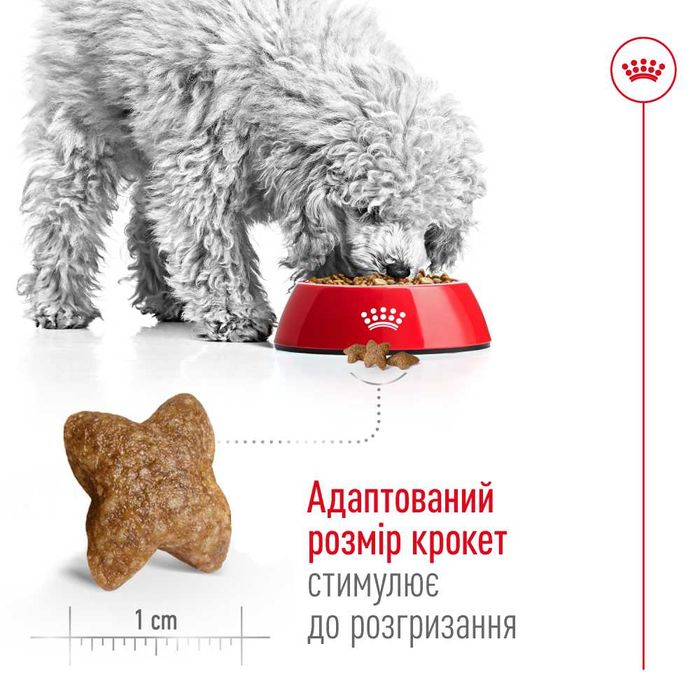 Сухой корм для собак Royal Canin Mini Adult 800 г - masterzoo.ua