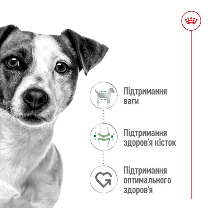 Сухой корм для собак Royal Canin Mini Adult 800 г - masterzoo.ua