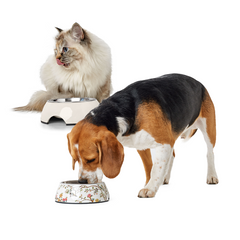 Посуда для собак и котов
