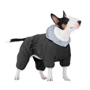 Collar AiryVest ONE комбинезон для собак XS-30 - masterzoo.ua