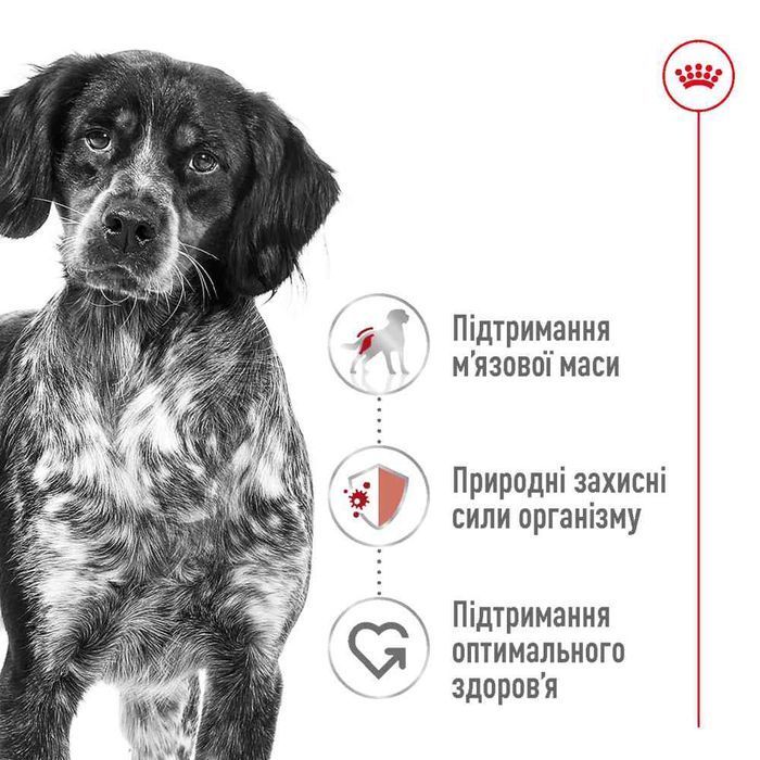 Cухой корм для собак Royal Canin Medium Adult 12 кг - домашняя птица - masterzoo.ua