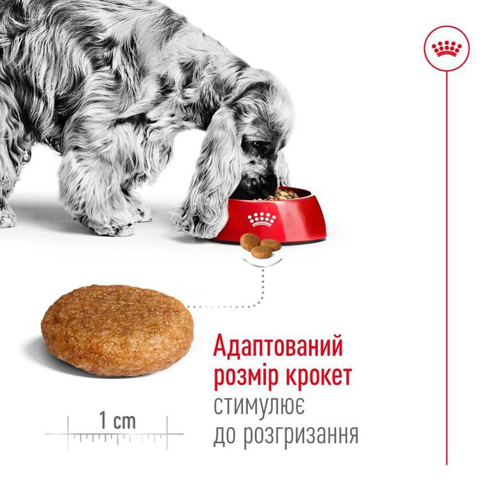 Сухий корм для собак Royal Canin Medium Adult 4 кг + годівниця у подарунок - masterzoo.ua