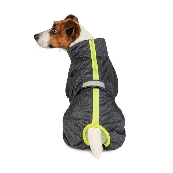 Дождевик для собак Pet Fashion Rain S такса - masterzoo.ua