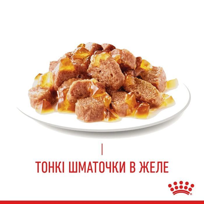 Вологий корм для котів Royal Canin Hair & Skin Care 85 г - masterzoo.ua