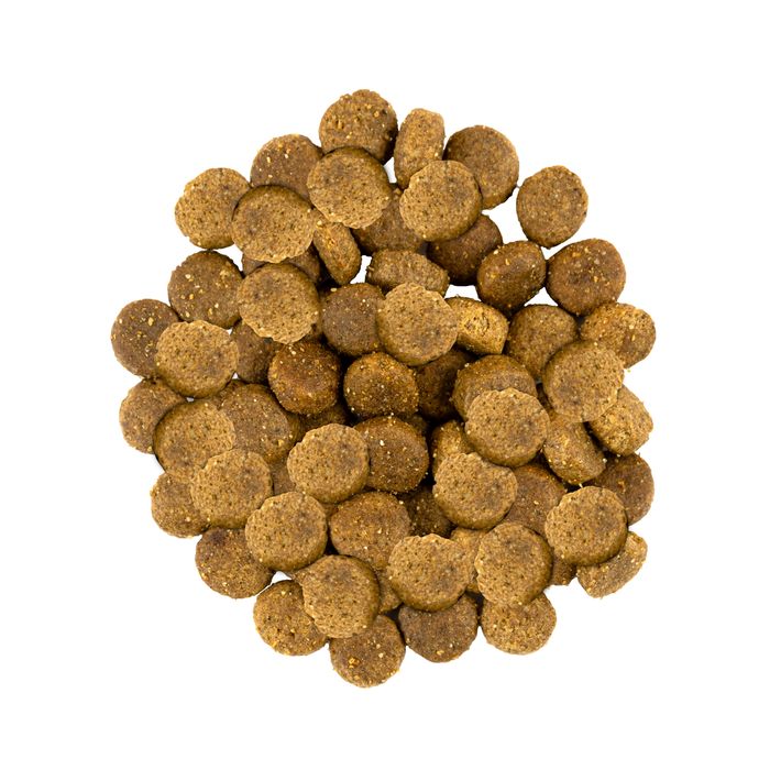 Сухий корм для собак середніх порід Savory 3 кг (індичка та ягня) - masterzoo.ua