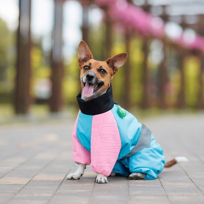 Pet Fashion Milly комбінезон для собак S-2 - masterzoo.ua