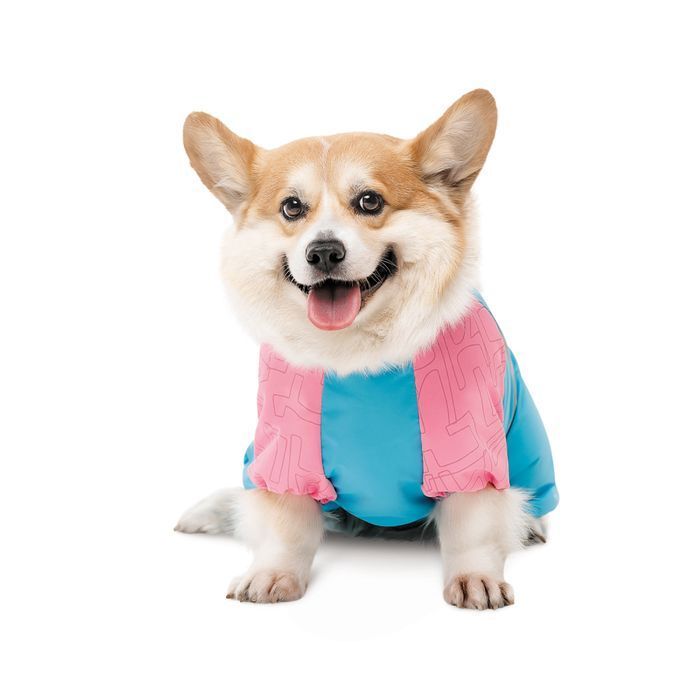 Pet Fashion Milly комбінезон для собак S-2 - masterzoo.ua
