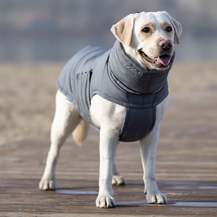 Noble Pet Bobby пуховик для собак 2XL - masterzoo.ua