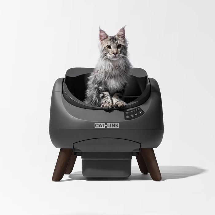 Смарт-лоток для котів Catlink Scooper Open-X 58,5х53,4х59,2 см - чорний - masterzoo.ua