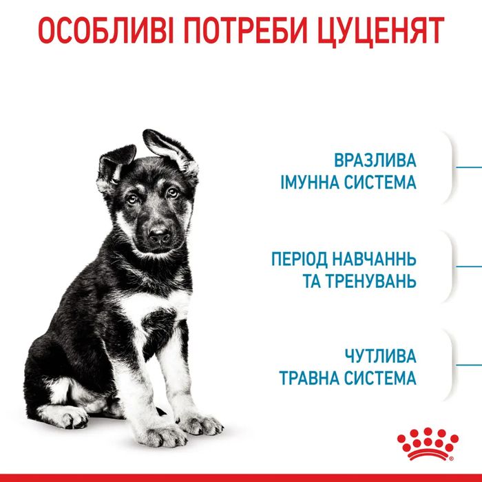 Сухий корм для цуценят Royal Canin Maxi Puppy 12+3 кг - домашня птиця - masterzoo.ua