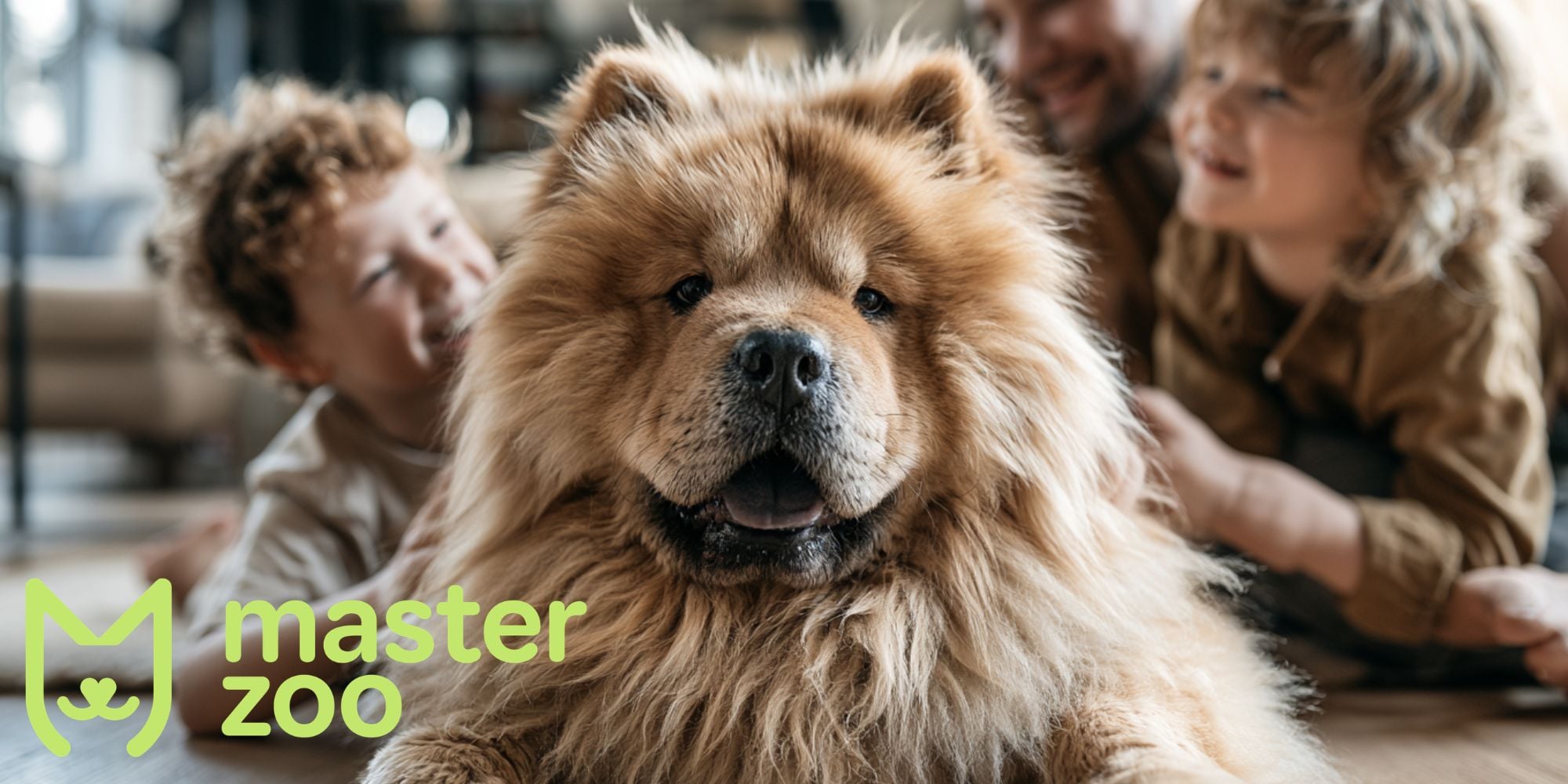 Чау-чау у сім'ї з дітьми | MasterZoo