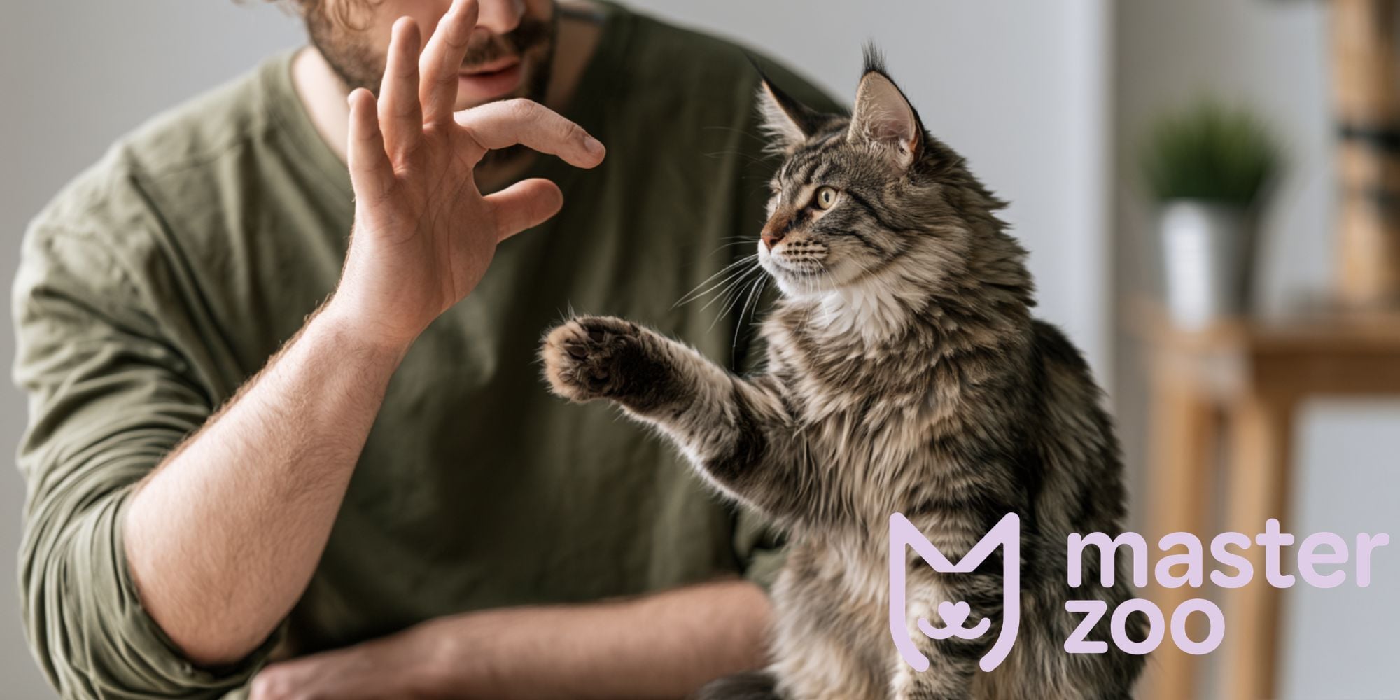 ласощі для дресирування кота |  MasterZoo