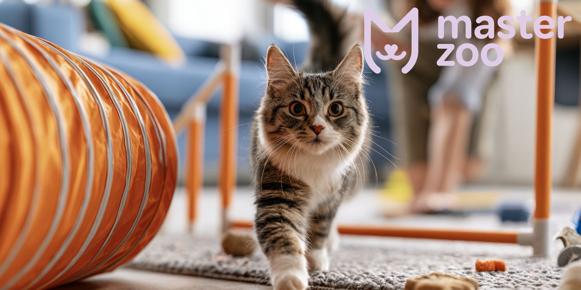 інвентарь для дресирування кота |  MasterZoo