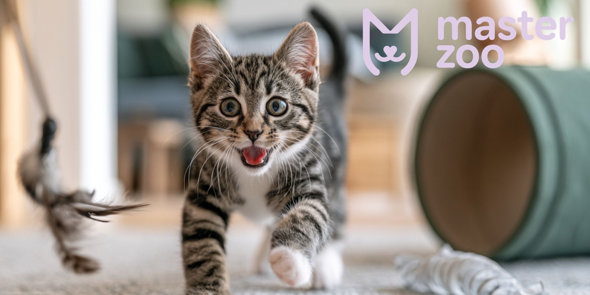 іграшки для кота  |  MasterZoo