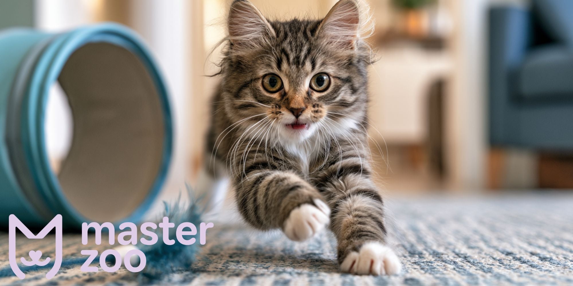кіт в лабіринті |  MasterZoo 