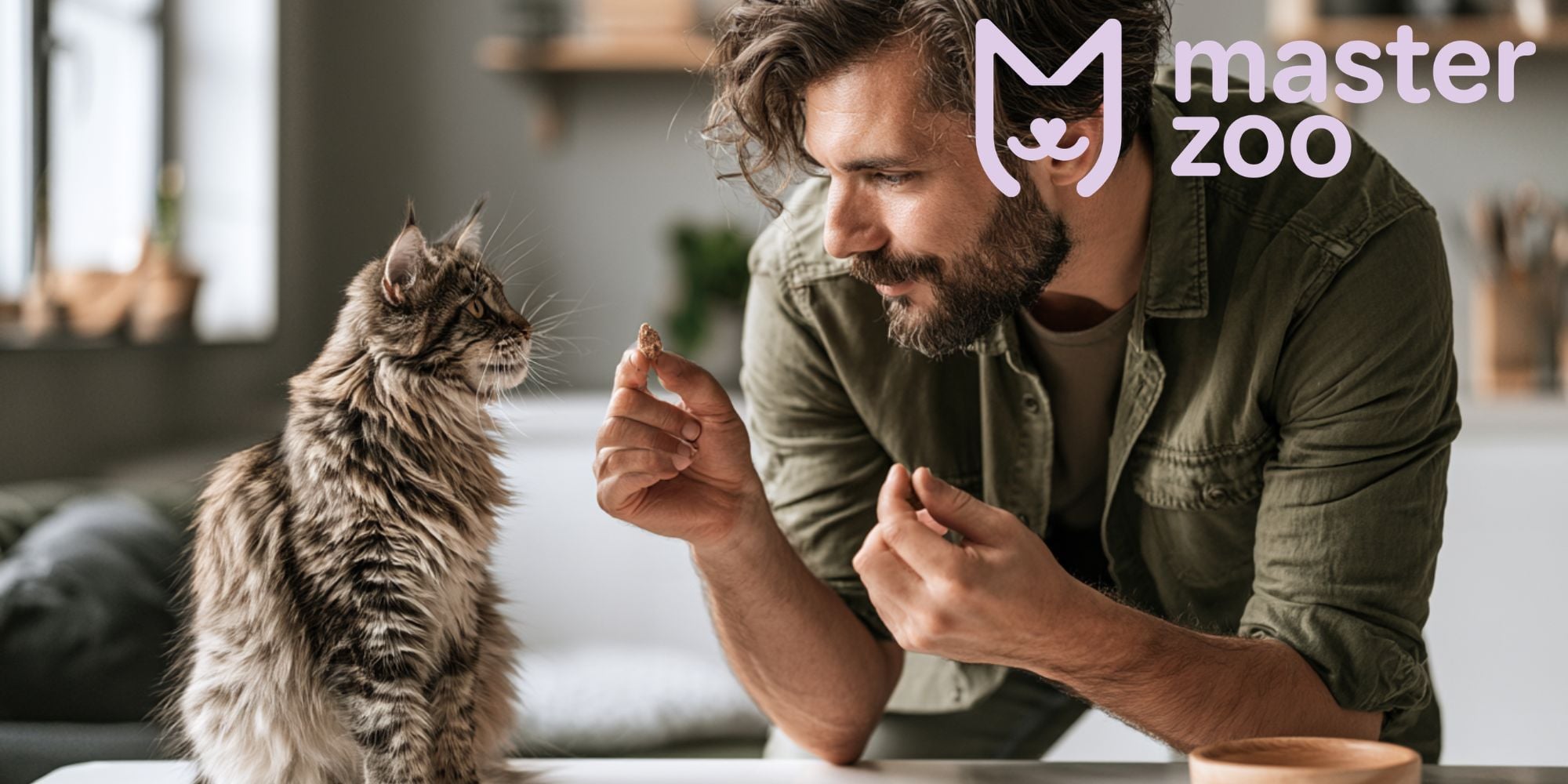 дресирування кота вдома |  MasterZoo