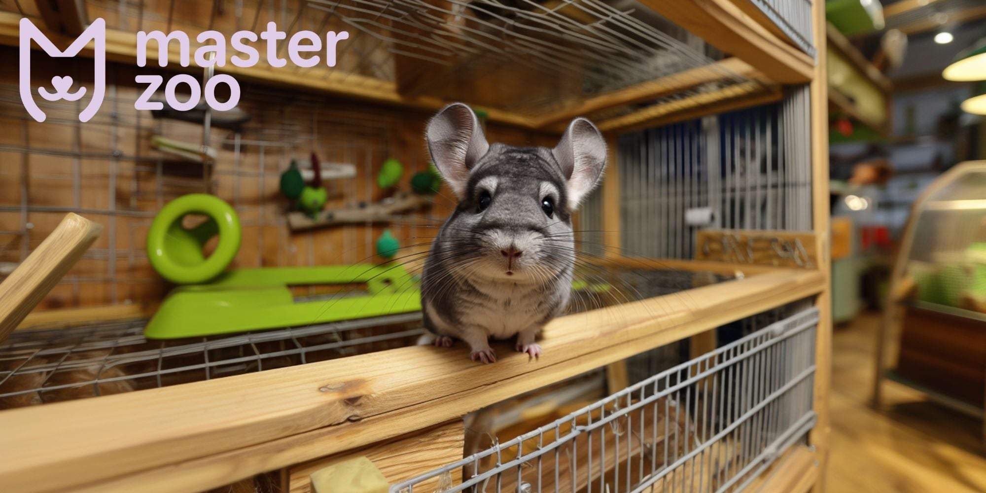 клітка для шиншили | MasterZoo