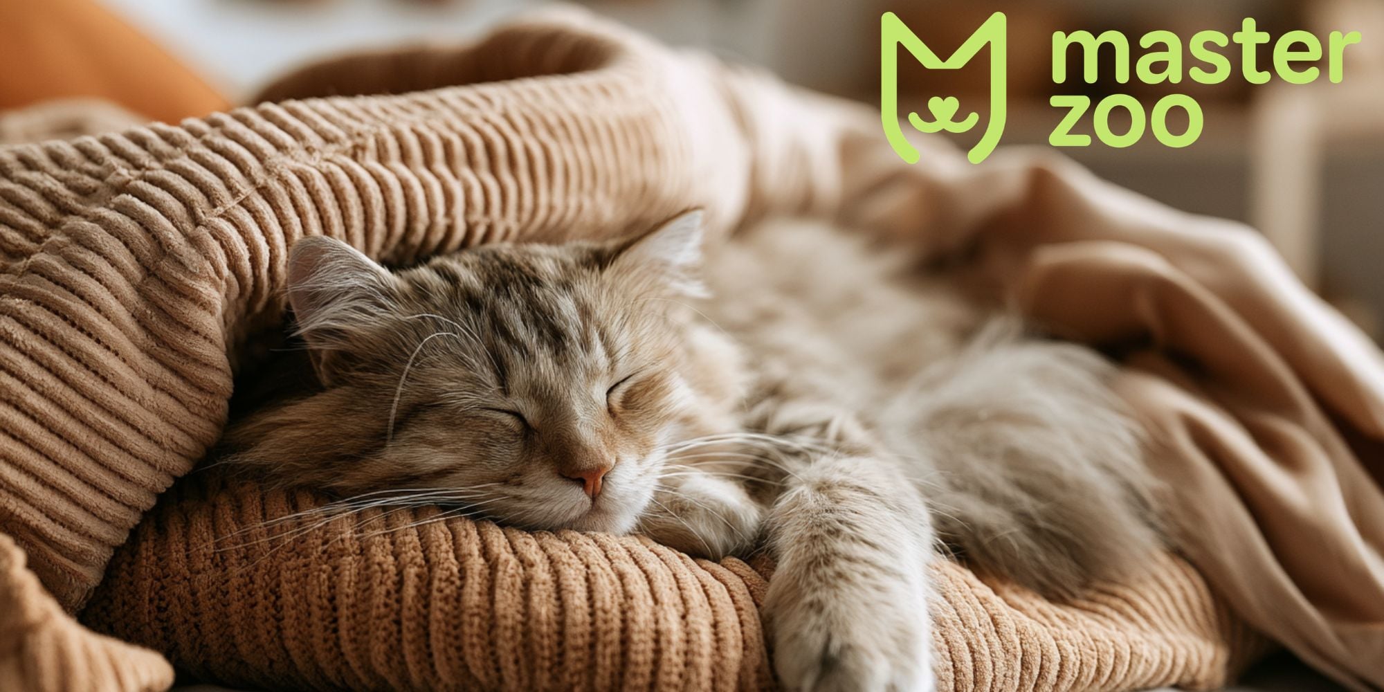 лікування нежиті у кота | MasterZoo