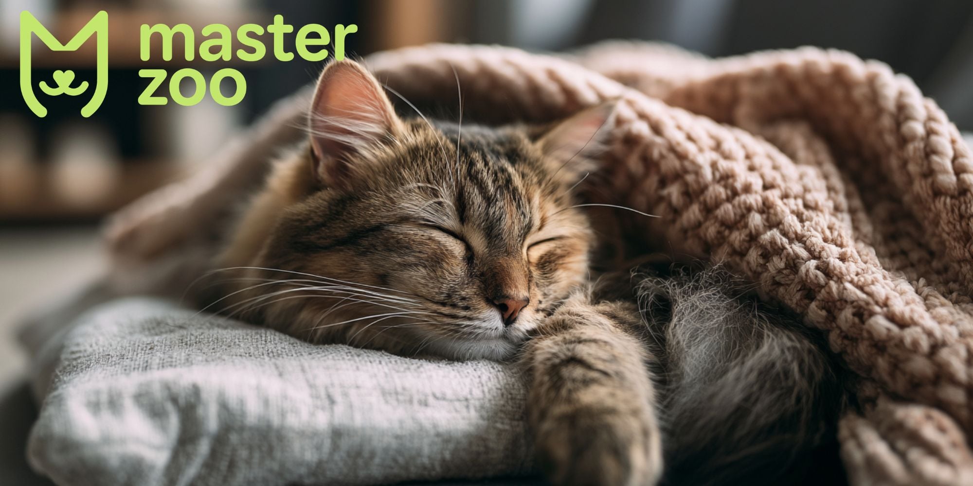 симптоми нежитю у кота | MasterZoo