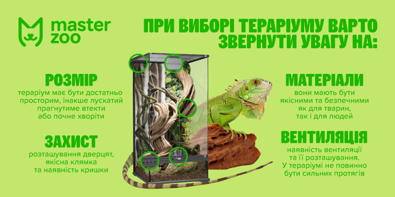 тераріуми і фаунаріуми  |  MasterZoo
