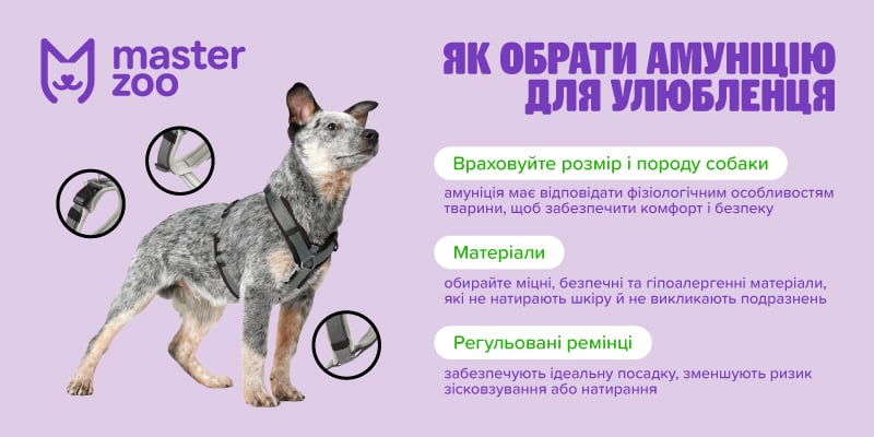 амуніція для собак  |  MasterZoo