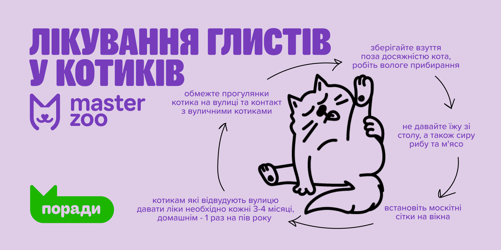 Інфографіка глисти у котів | Зоомагазин MasterZoo