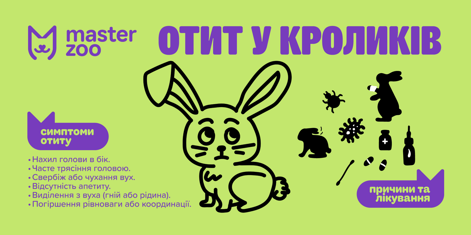 Інфографіка отит у кролика | MasterZoo