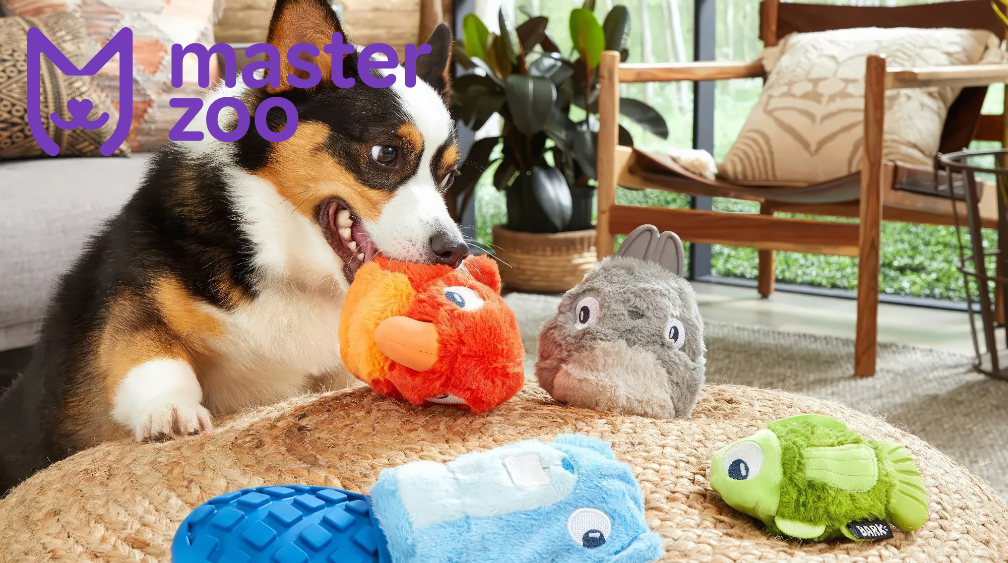 Іграшки для домашніх тварин | Зоомагазин MasterZoo
