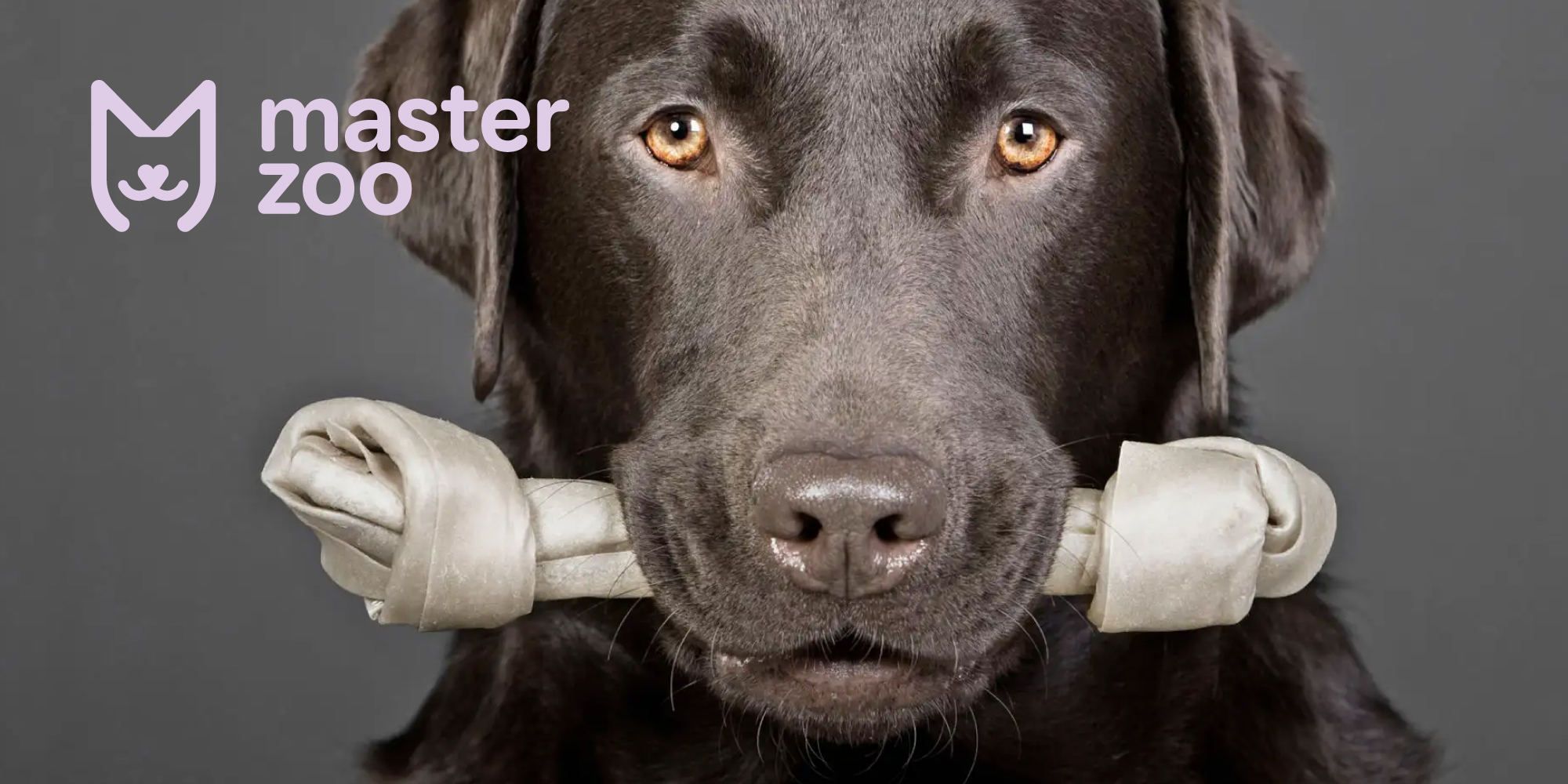 Кращі ласощі для собак | Зоомагазин MasterZoo
