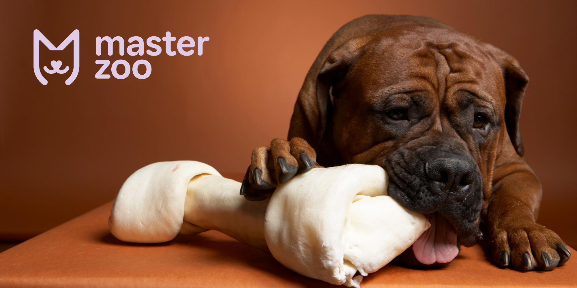 Собаки та ласощі для собак | Зоомагазин MasterZoo