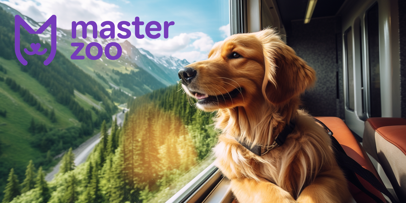 Подорож із собакою | Зоомагазин MasterZoo