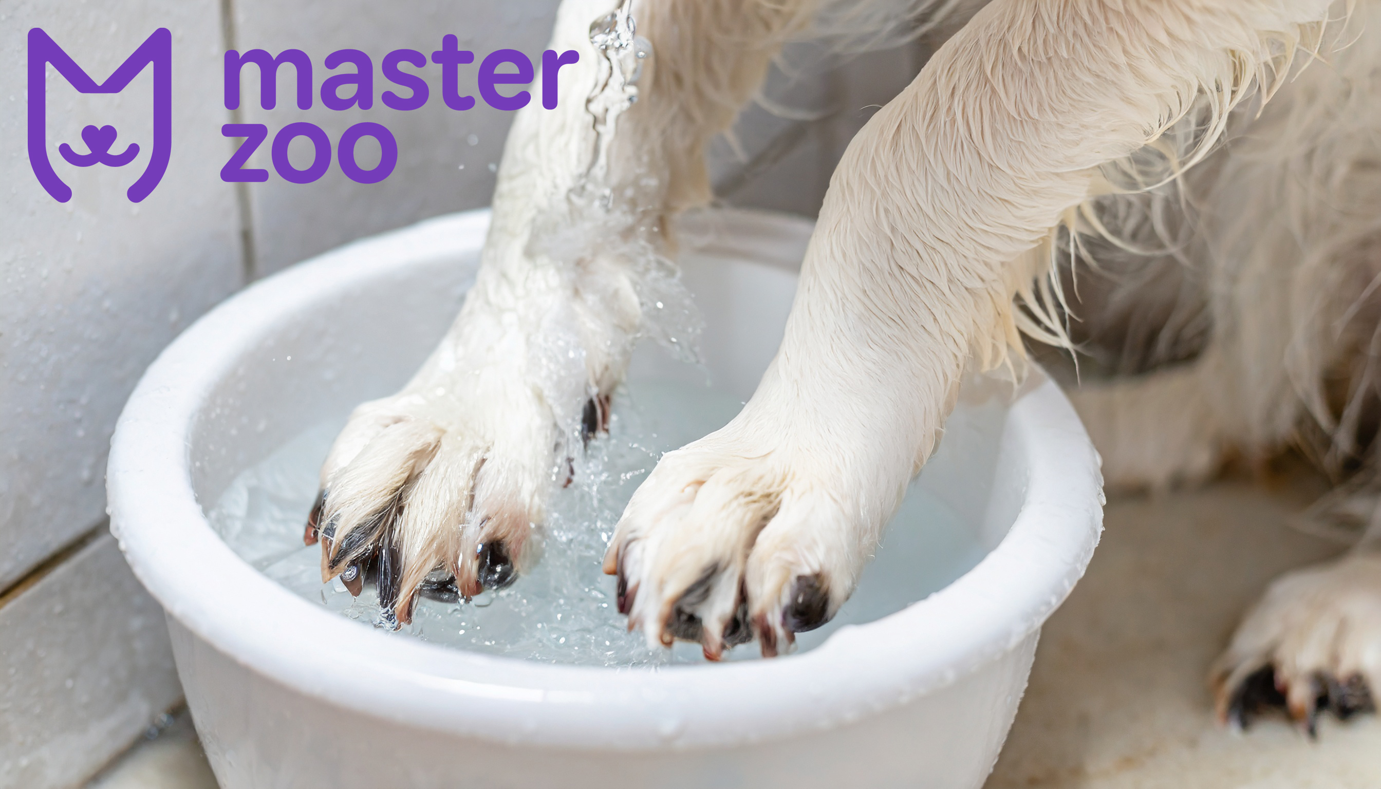 Как мыть лапы питомцу | Зоомагазин MasterZoo