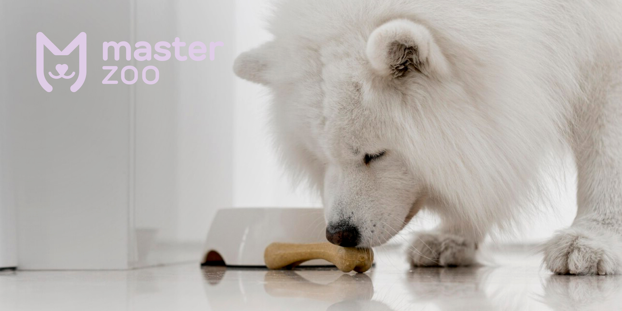 Харчування собак у зимку | Зоомагазин MasterZoo