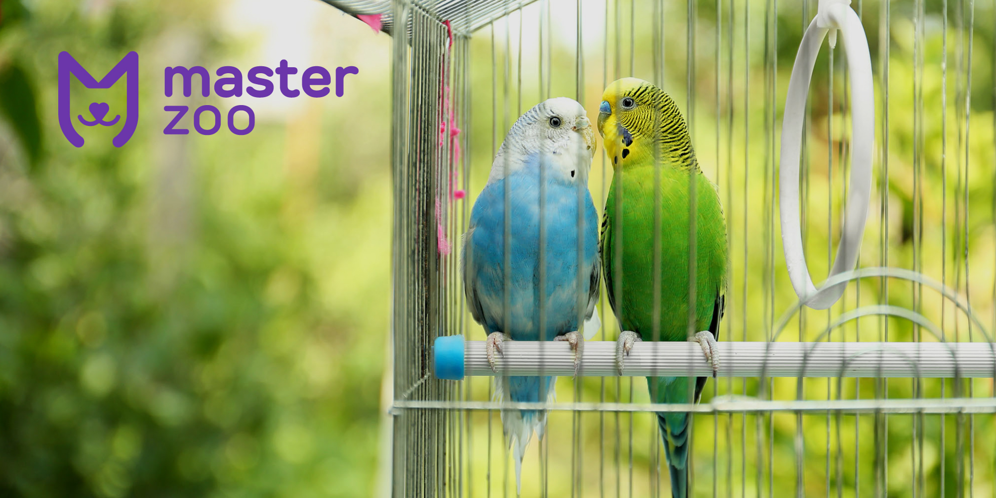 Домашня попуга в клітці | Зоомагазин MasterZoo