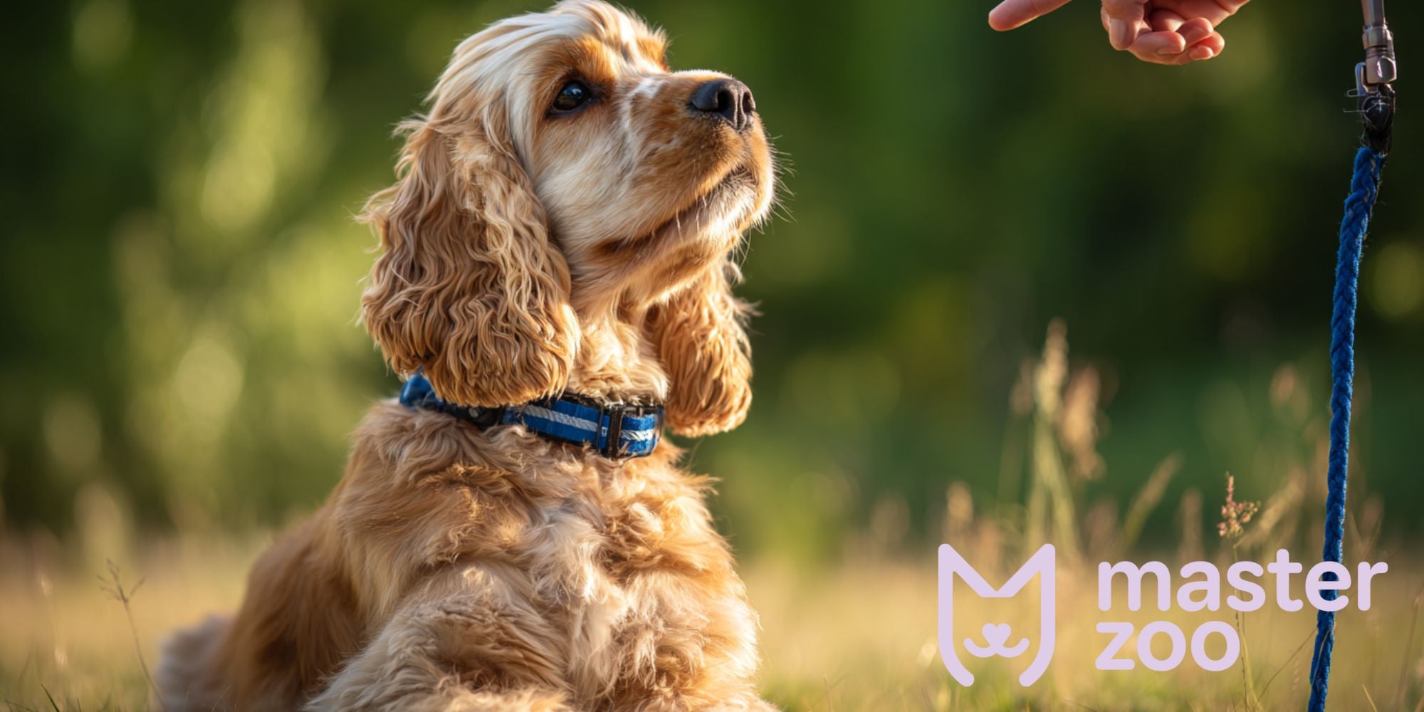 миф а доминировании | MasterZoo