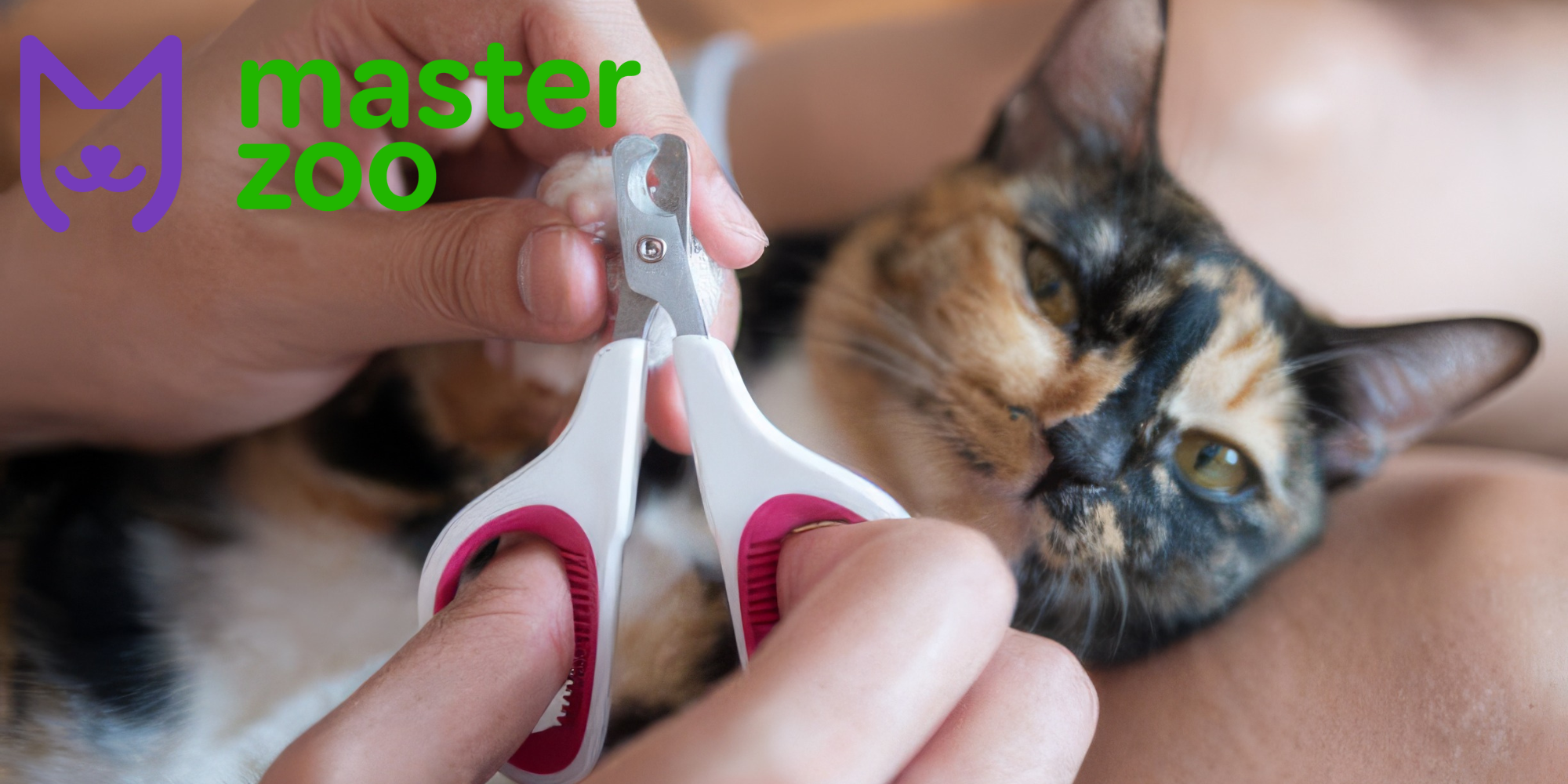 Кішка якій обрізають нігті  | Зоомагазин MasterZoo