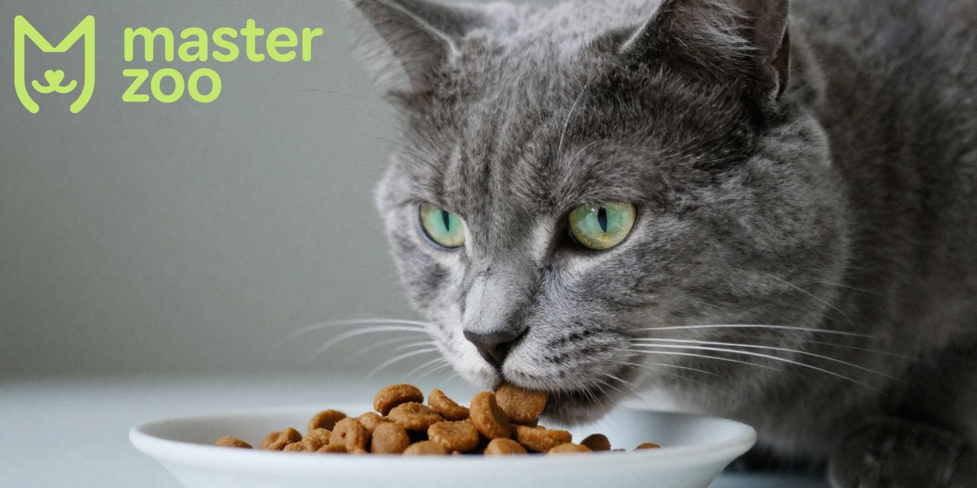 корм для котов | MasterZoo